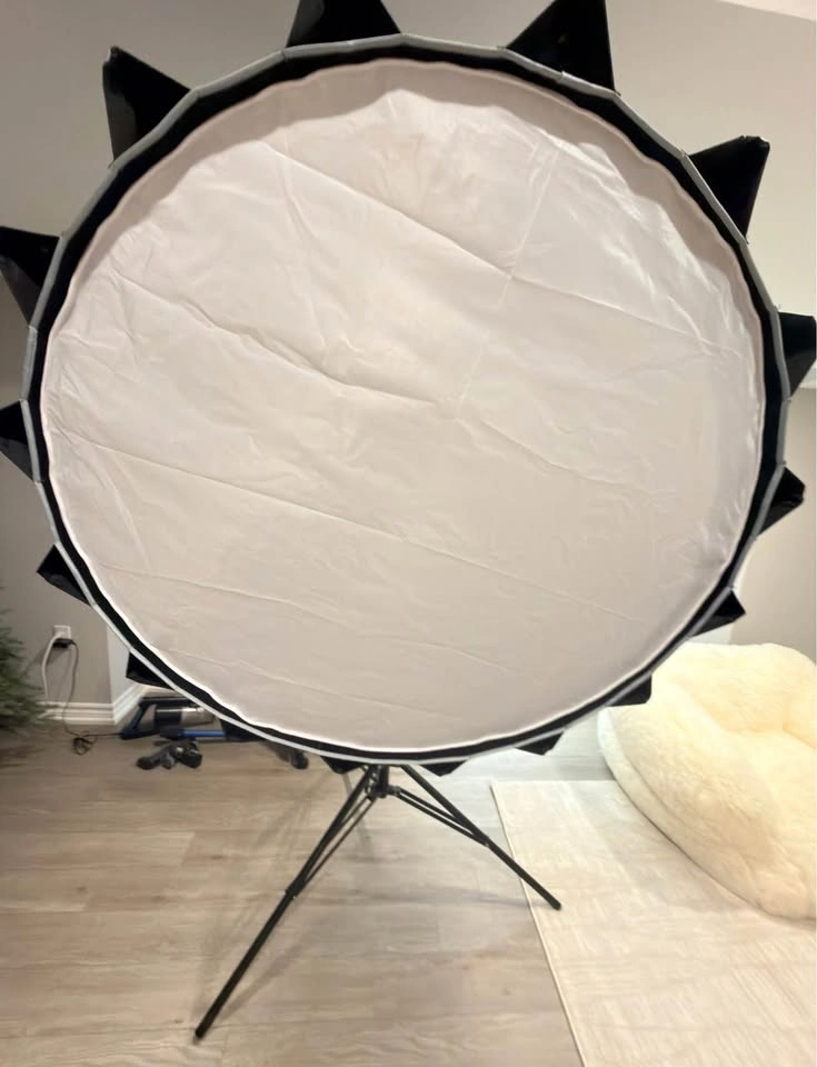 Two Godox SL60W Lights w Light Dome II Softboxes - photo 2