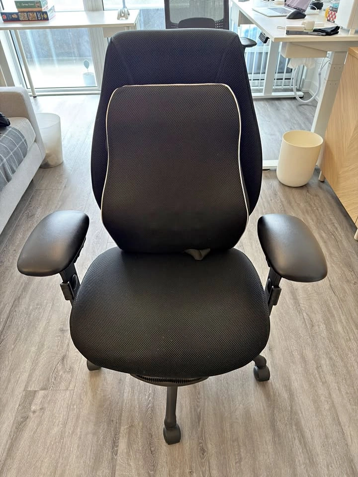 ergoCentric airCentric 2 Ergonomic Office Chair with Backrest
