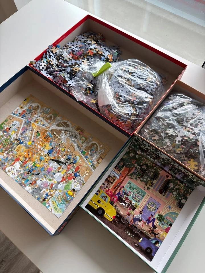 Jan van Haasteren 2x1000 & Galison 1000 Piece Jigsaw Puzzles - photo 4