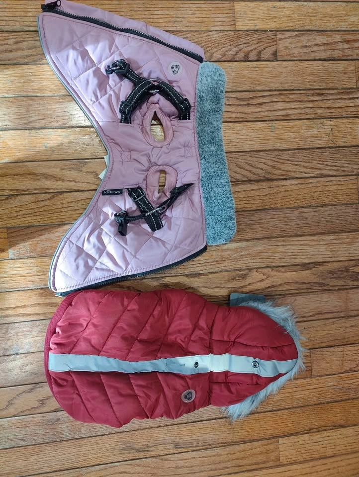 Small Dog Coats