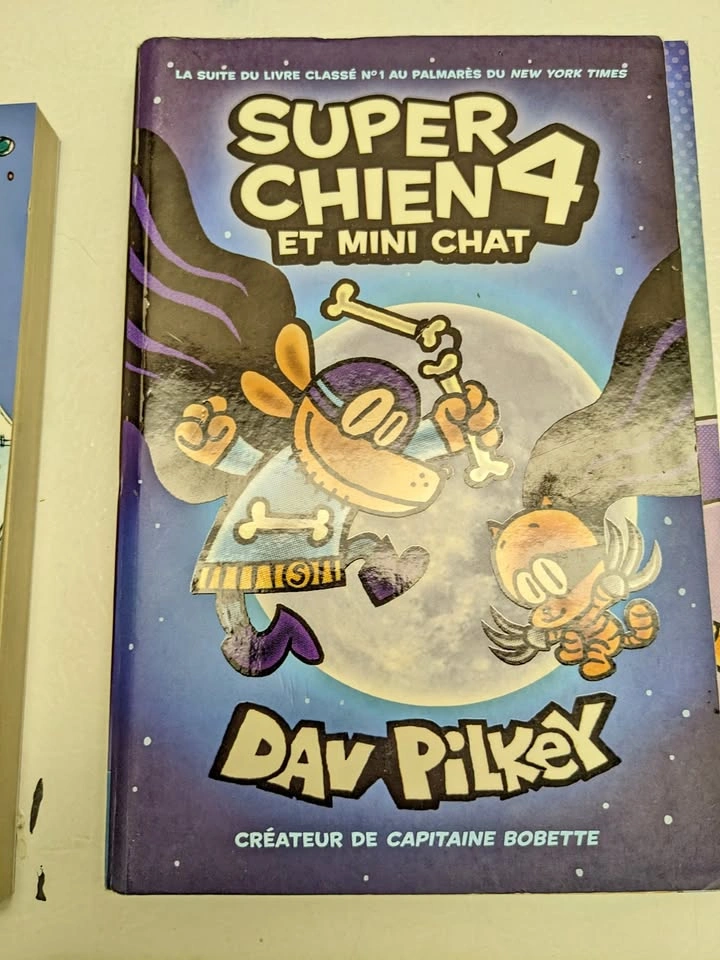Super Chien 4 et Mini Chat (French Edition), book by Dav Pilkey