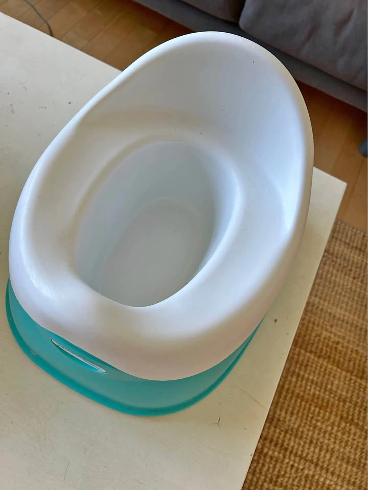 Toddler Potty Chair