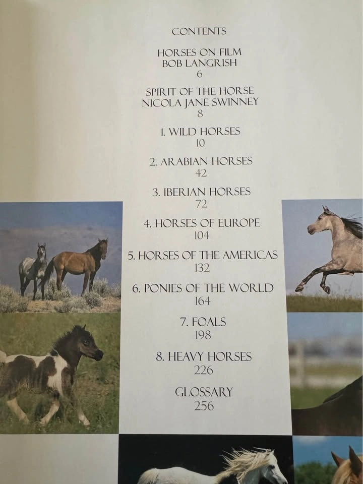 Spirit of the Horse Hardcover Coffee Table Book - Great Conditio - photo 4