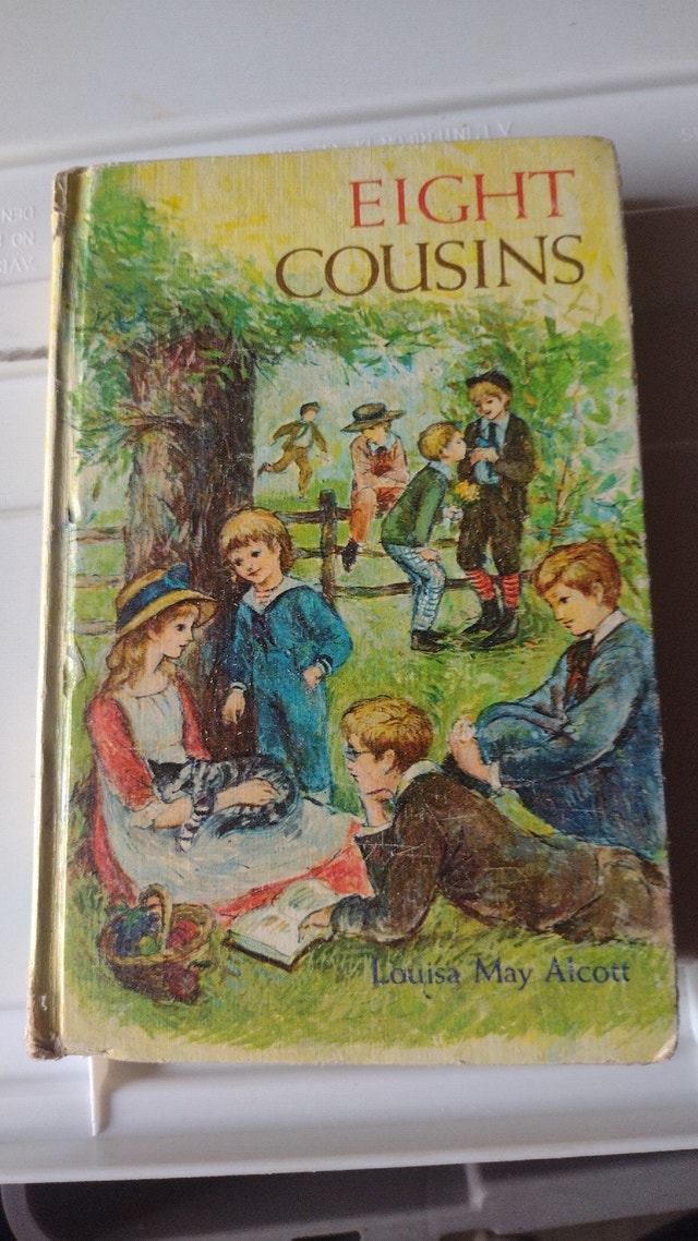 Eight Cousins