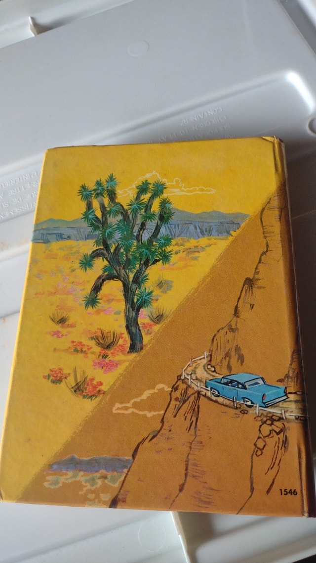 The Desert Inn Mystery - photo 2