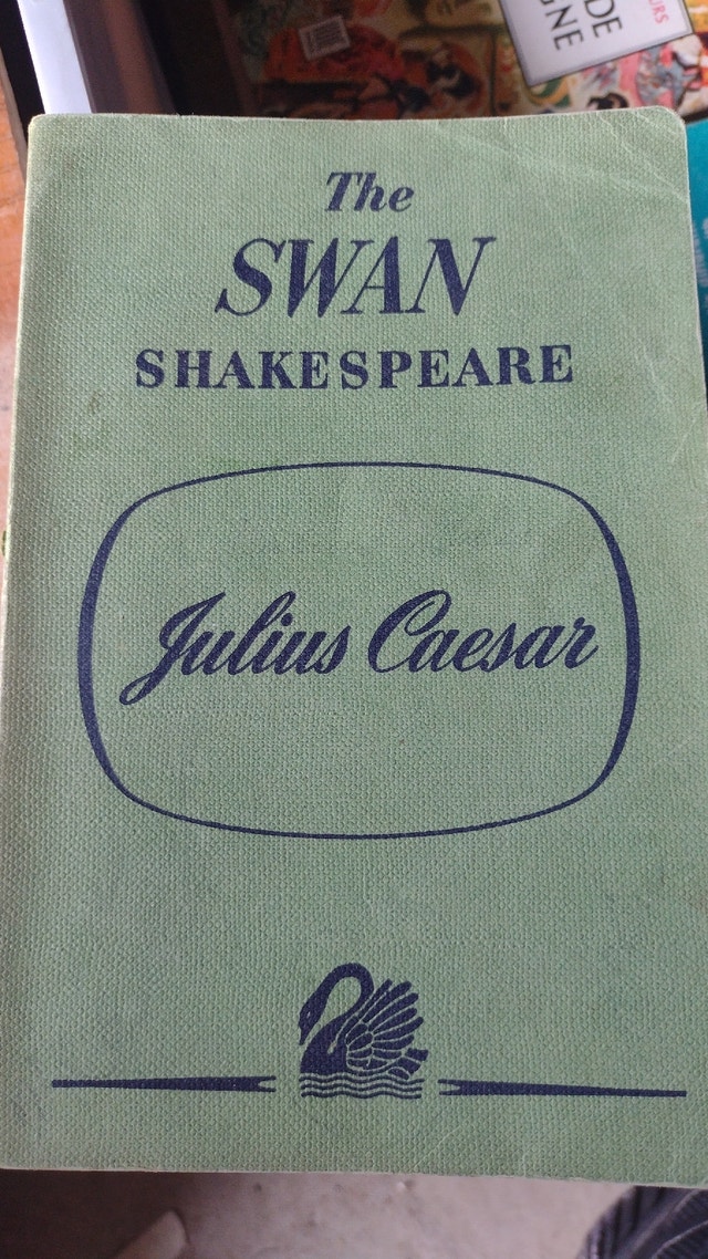 The Swan