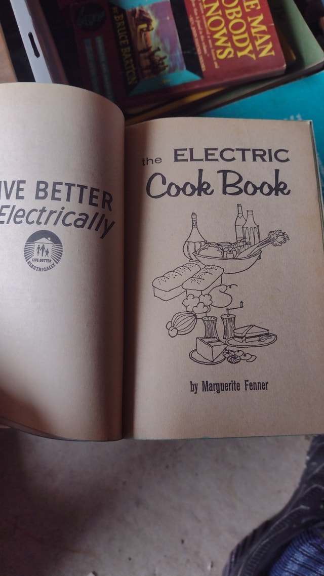 The electric cook book - photo 2