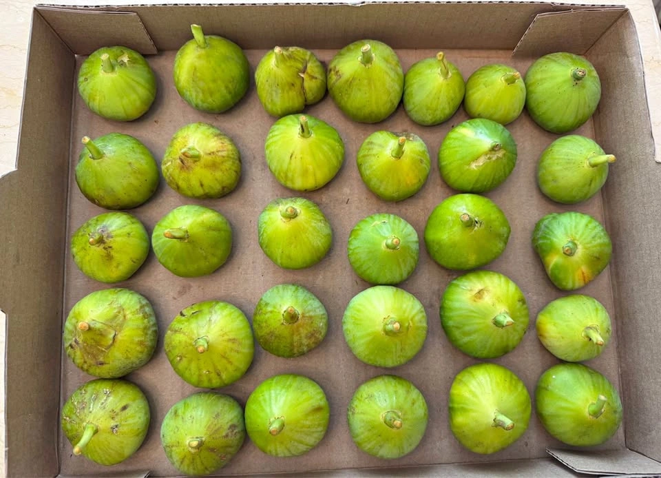 30 Fresh & Sweet Honey Figs