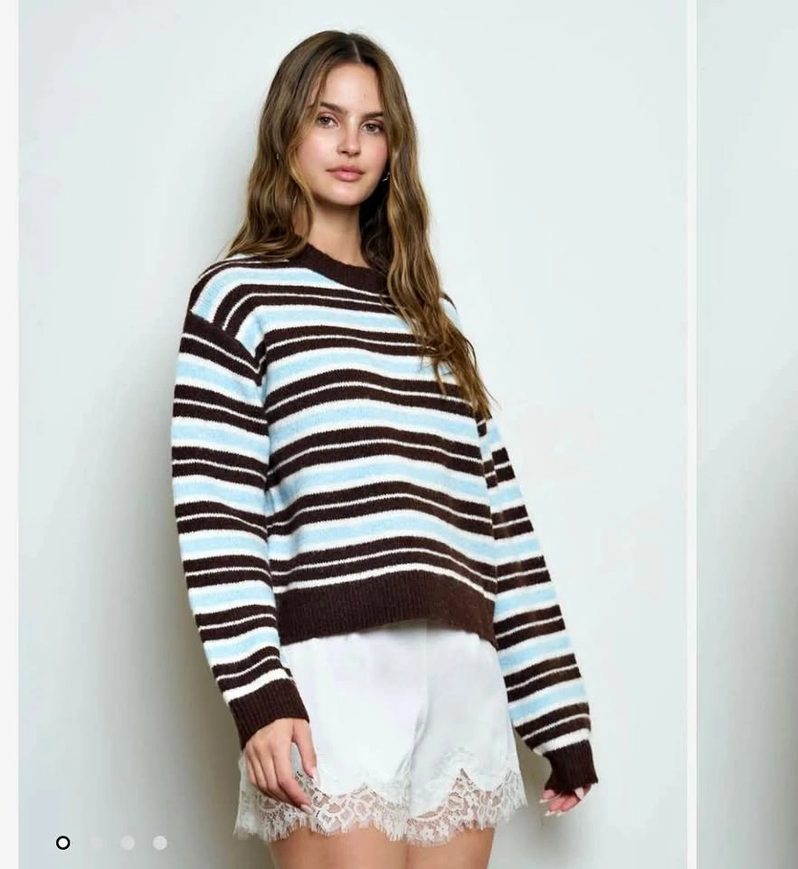 BNWT Striped knit brown & blue fall sweater