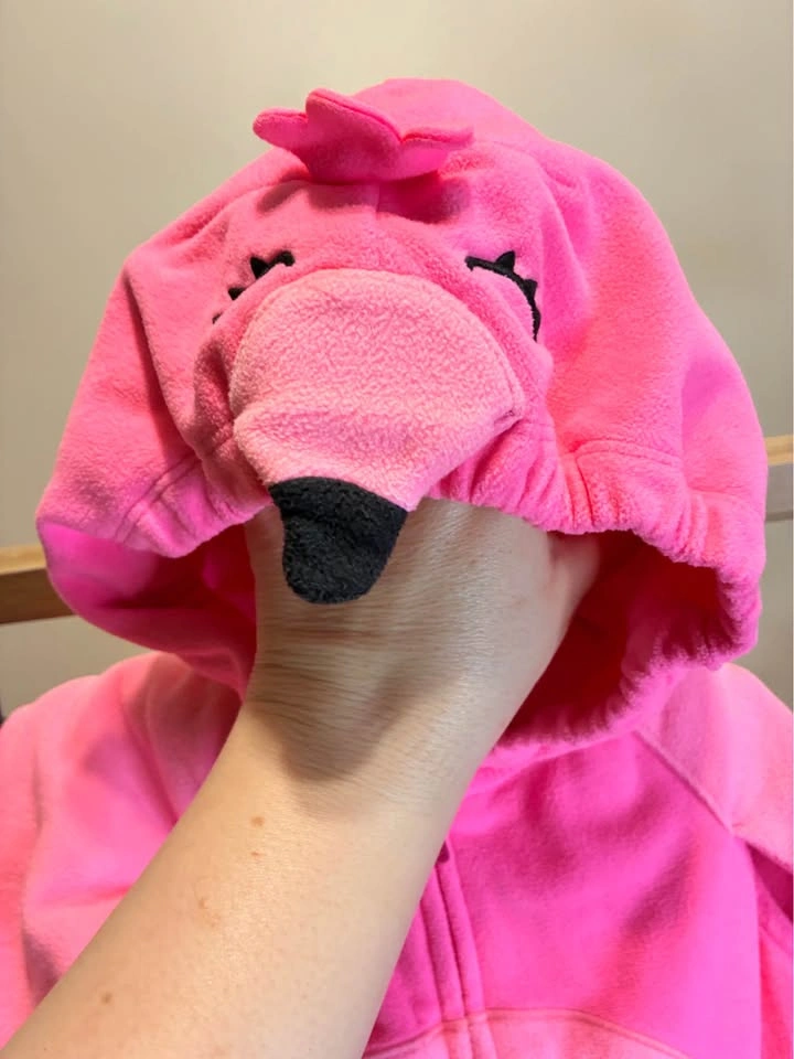Carters Kids Flamingo Costume size 24 months - photo 4