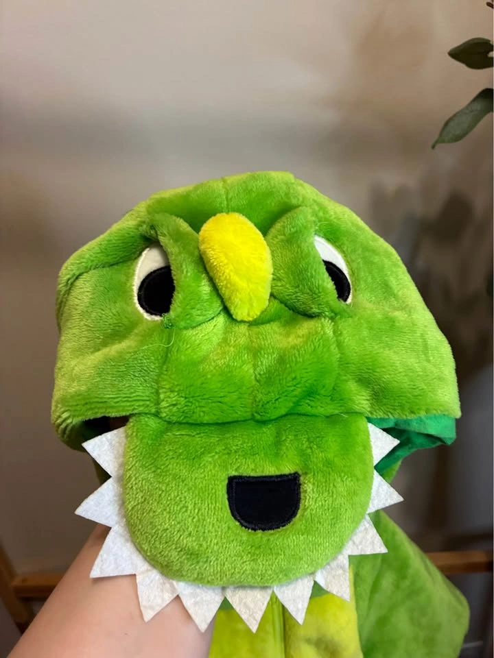 Kids Dinosaur Costume size 12 months - photo 3