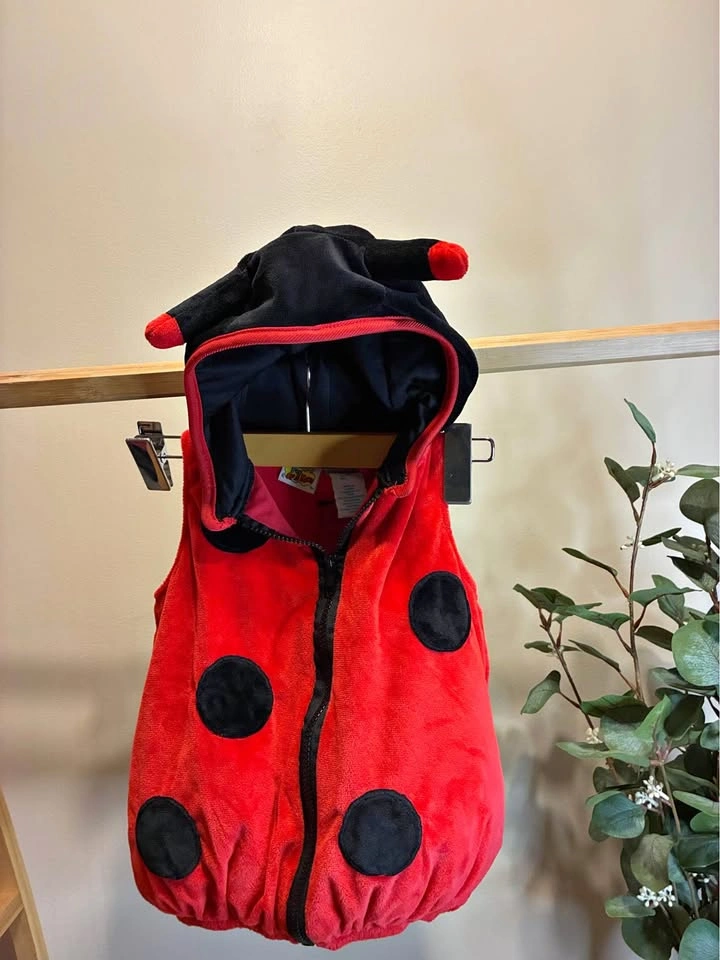 Kids LadyBug Costume size 12 months