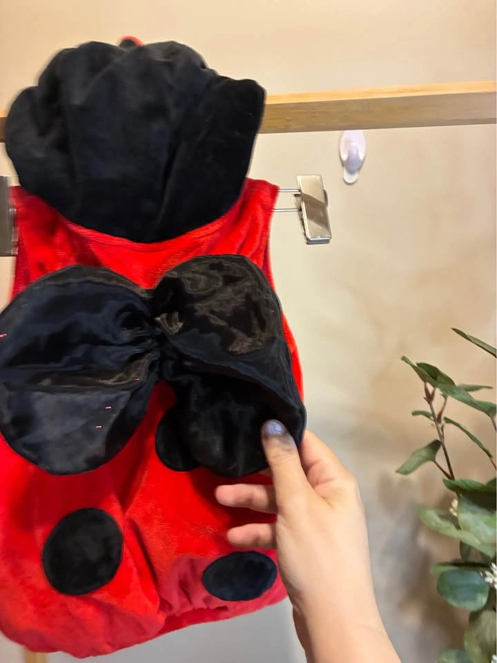 Kids LadyBug Costume size 12 months - photo 3