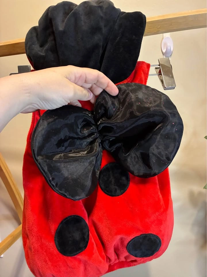 Kids LadyBug Costume size 12 months - photo 4