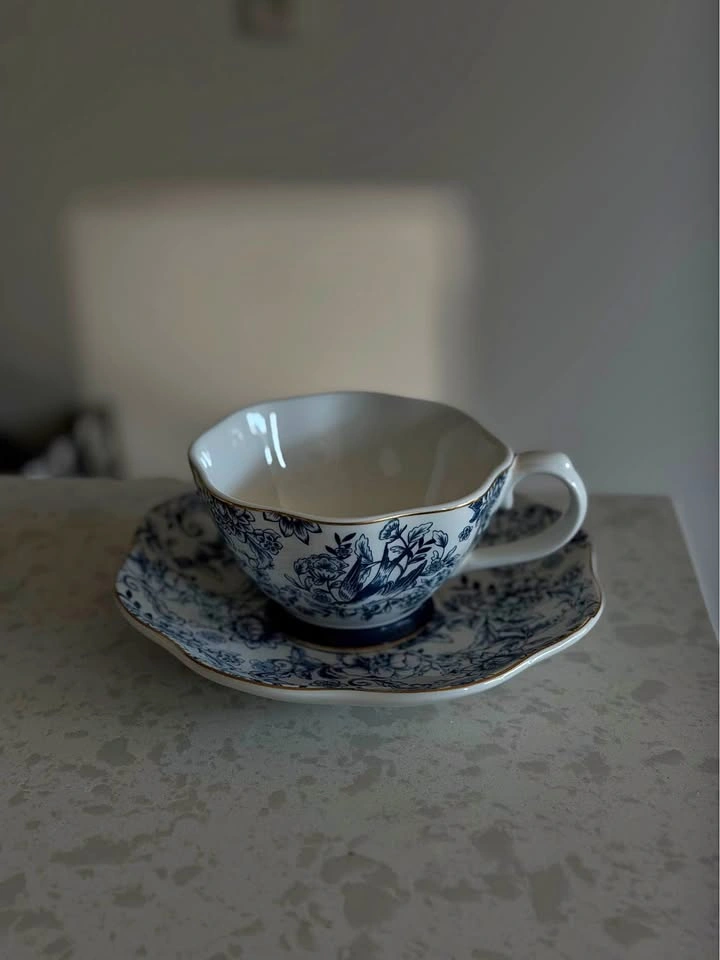 Blue and White Floral Teacup and Saucer Set of 2