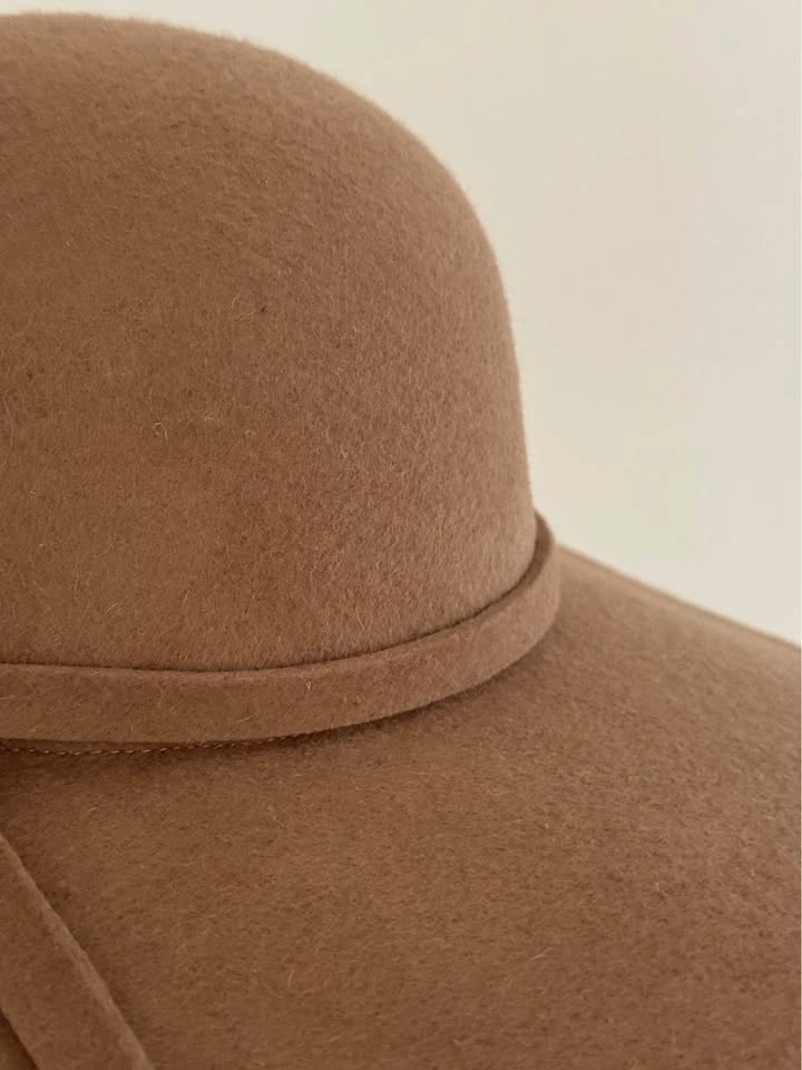 Brown Wide Brim Wool Felt Hat - photo 4