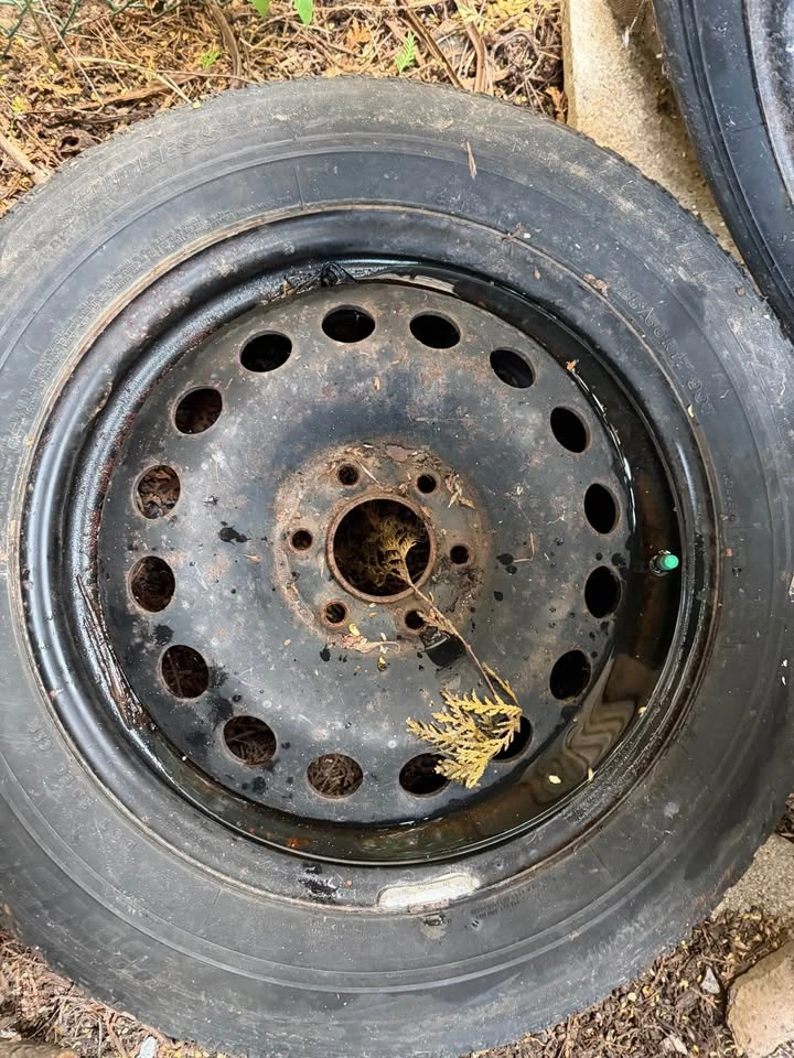 4 steel tire rims size- 225 60 R 17 - photo 2