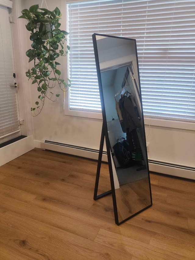 Standing Mirror