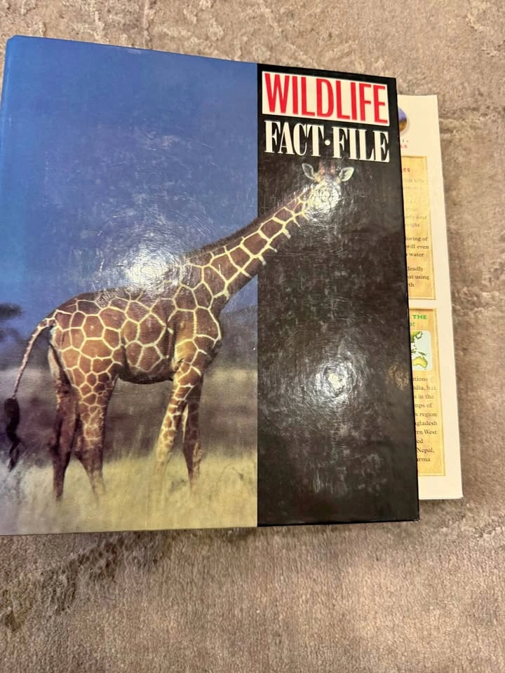 Vintage Wildlife Fact-File Binder Set