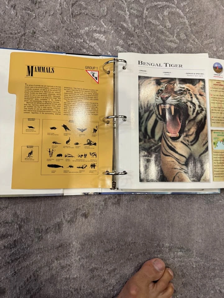 Vintage Wildlife Fact-File Binder Set - photo 2