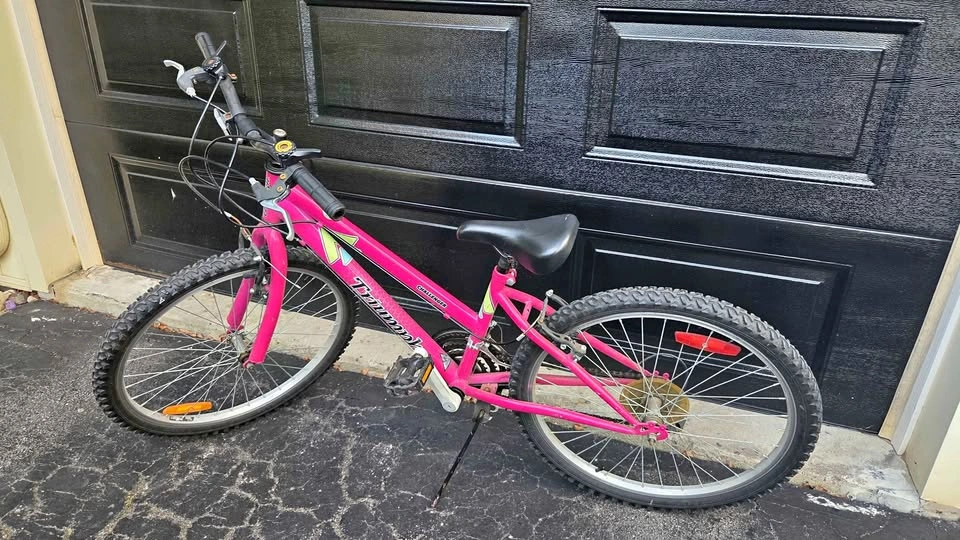 24" Triumph kids mountain bike