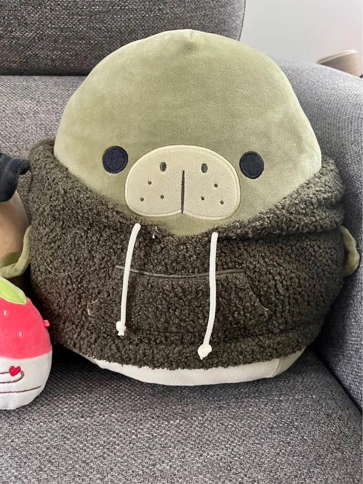 Squishmallows Plush Lot - Axolotl, Pug, Strawberry, and Manatee - photo 4