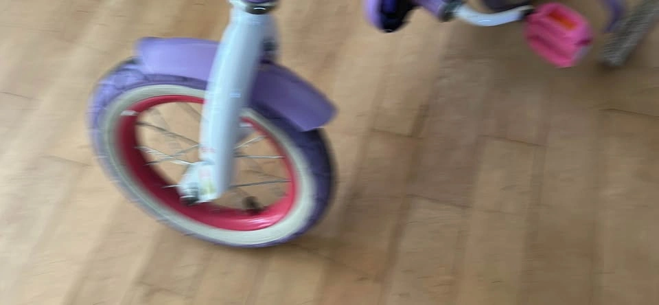 Dora the Explorer Girls Bicycle with Training Wheels - photo 3