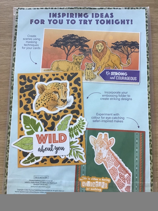 Safari Stamp and Embossing Folder Set - photo 4