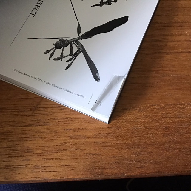 Overlord The Complete Anime Artbook - photo 5