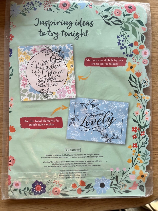 Positively Perfect Stamp Set - photo 4