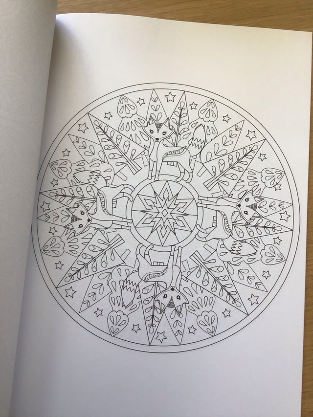 Mindful Mandalas Adult Colouring Book - photo 2