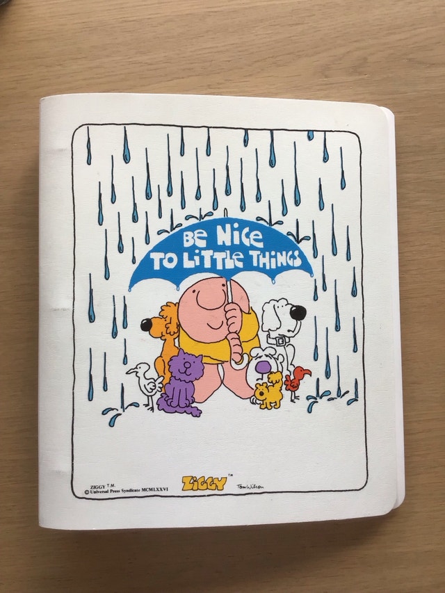 Vintage Ziggy 3 Ring Binder