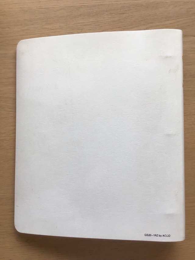 Vintage Ziggy 3 Ring Binder - photo 3