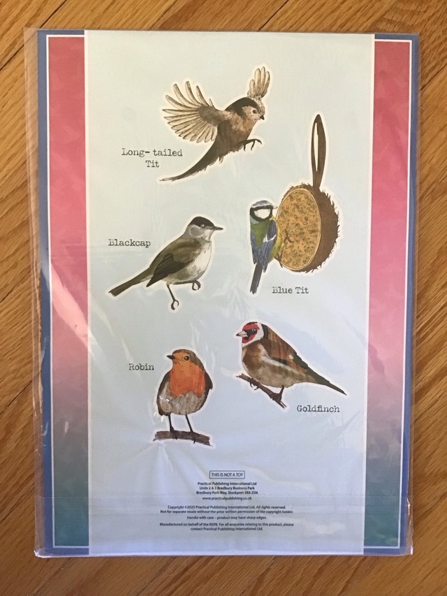 Beauty of Birds Stamp Set - photo 2