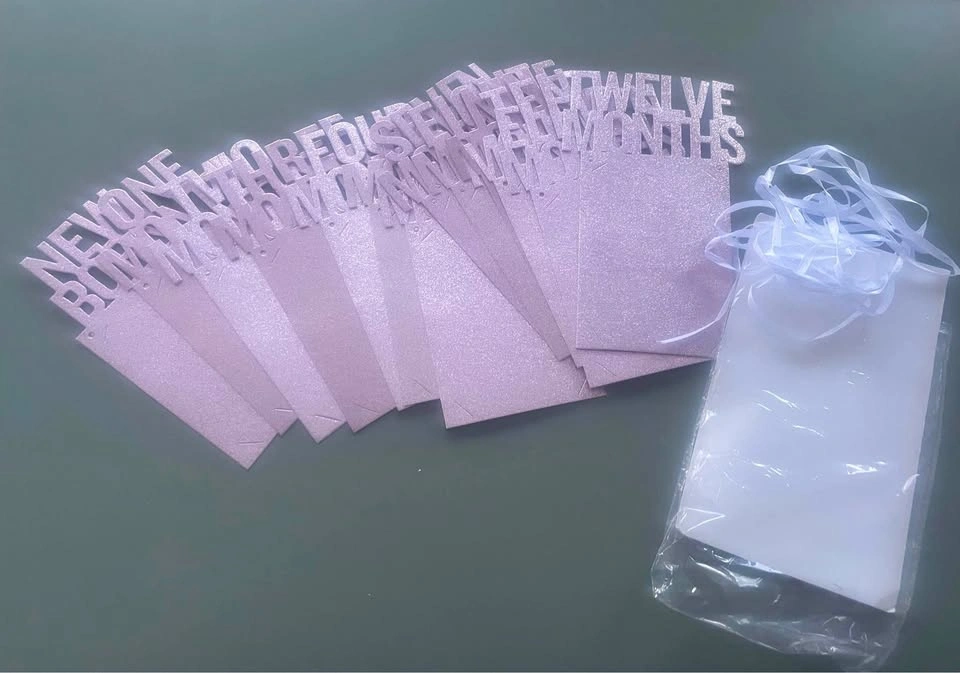 Pink Glitter Baby Monthly Photo Banner Newborn to 12 Months