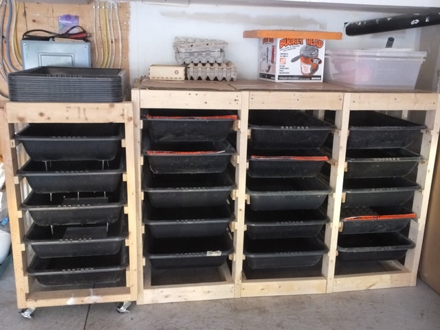 A Complete Mealworm Farm Setup - Supplies and Equipment