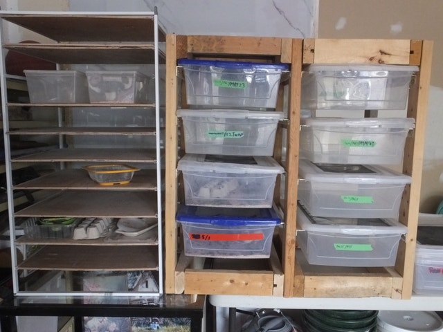 A Complete Mealworm Farm Setup - Supplies and Equipment - photo 2