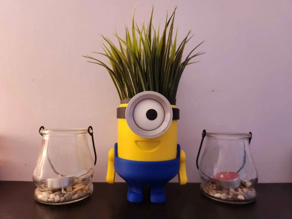 Minion Planter, Toothbrush Holder and Desk Organizer