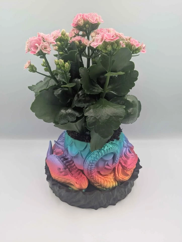 Dragon Planter