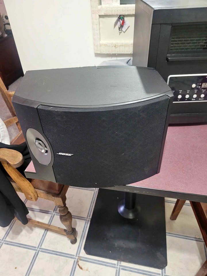 Bose 301 Series V Stereo Loudspeakers