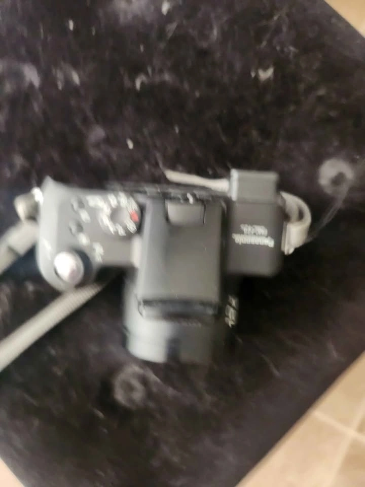 Panasonic Lumix DMC-FZ5 - photo 2