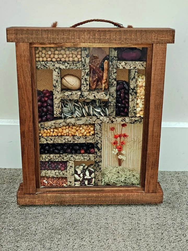 Vintage Seed & Bean Shadow Box Wall Art – Made in Canada
