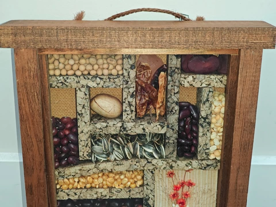Vintage Seed & Bean Shadow Box Wall Art – Made in Canada - photo 2