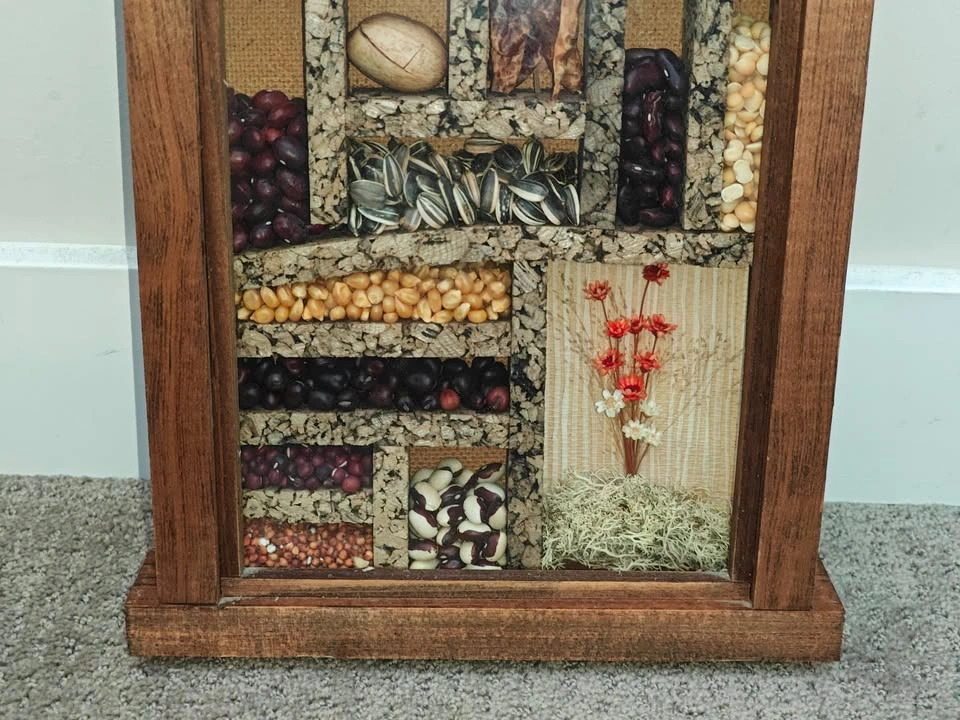 Vintage Seed & Bean Shadow Box Wall Art – Made in Canada - photo 3