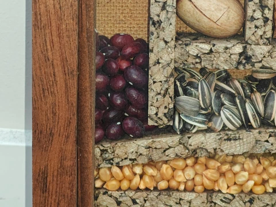 Vintage Seed & Bean Shadow Box Wall Art – Made in Canada - photo 4