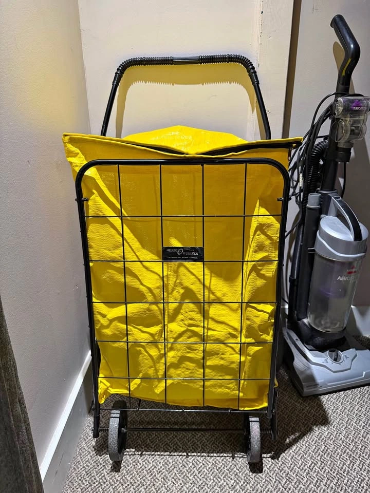 Grocery Cart with Bag