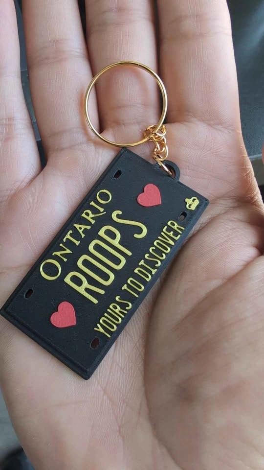 Ontario License Plate Replica - Custom Keychain - photo 4