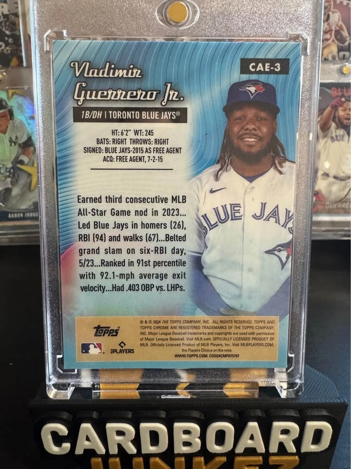 Vladimir Guerrero Jr. Baseball Card lot - photo 2