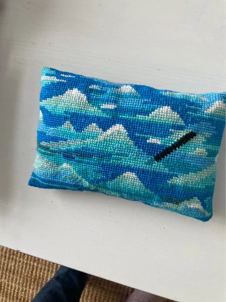 $10 all 3 pretty small needle point cushions - photo 3