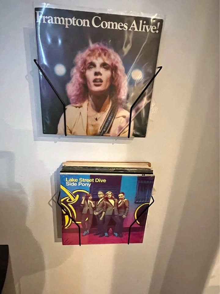 Vinyl holder/display